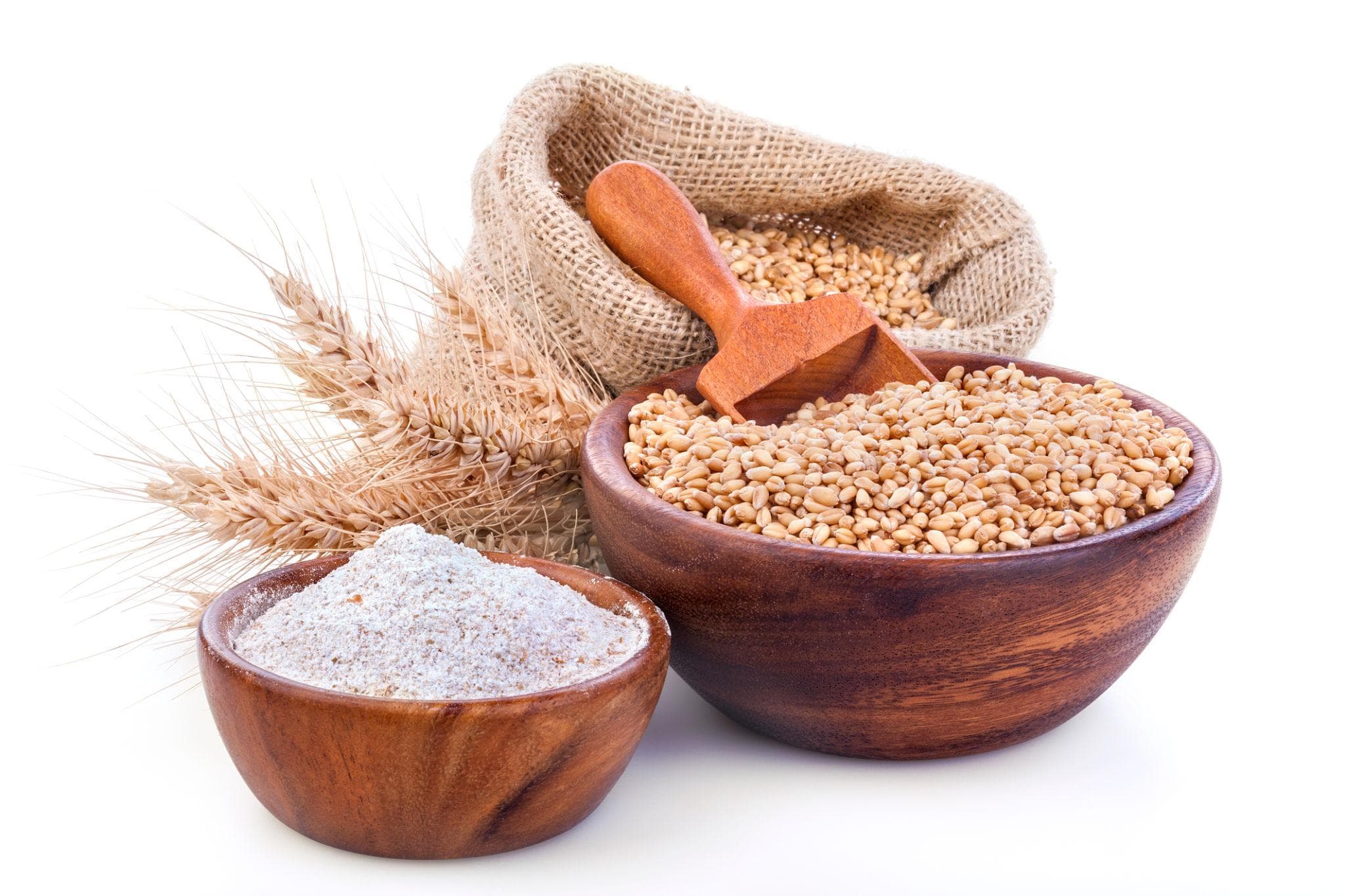 Wheat Products